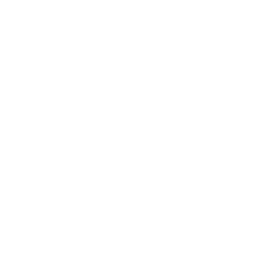 Loop icon